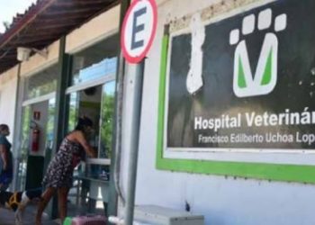 Justiça condena Hospital Veterinário da UEMA a recolher taxa por meio de depósito bancário