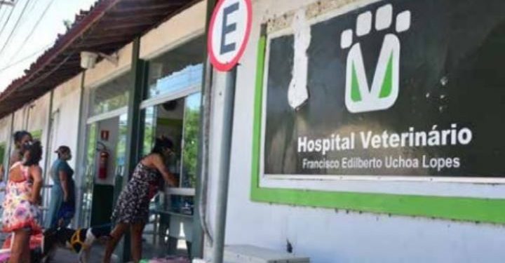 Justiça condena Hospital Veterinário da UEMA a recolher taxa por meio de depósito bancário