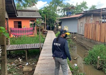 IBGE dá início à coleta domiciliar do Censo Demográfico 2022