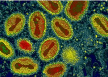 Maranhão tem dois casos confirmados do vírus monkeypox