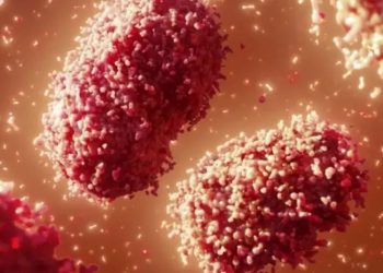 Brasil tem 1,4 mil casos confirmado de varíola dos macacos