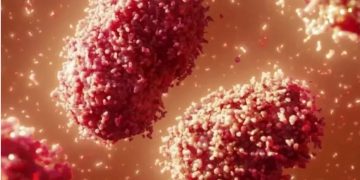 Brasil tem 1,4 mil casos confirmado de varíola dos macacos