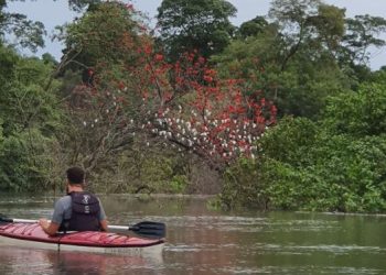 Ong Arte Mojó e Ecotrip Canoagem se unem para limpar trecho do Rio Paciência