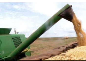 IBGE prevê safra recorde de 288,1 milhões de toneladas em 2023