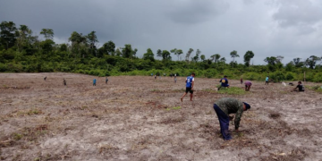 Sônia Guajajara enfrenta visão de desenvolvimento com base no agronegócio
