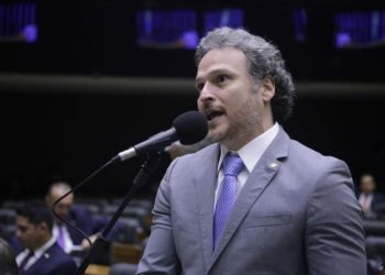 Lei poderá impedir condenado por maus-tratos a animais assumir emprego ou cargo público