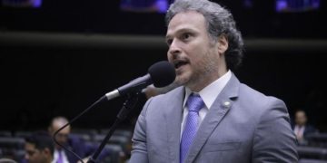 Lei poderá impedir condenado por maus-tratos a animais assumir emprego ou cargo público