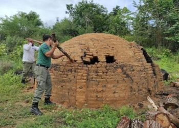 Ibama apreende mais de 300 metros cúbicos de madeira na Terra Indígena Araribóia (MA)