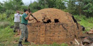 Ibama apreende mais de 300 metros cúbicos de madeira na Terra Indígena Araribóia (MA)