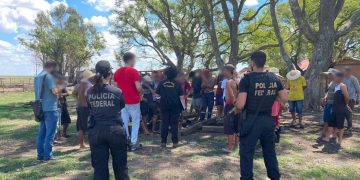 Mais 56 pessoas são resgatada em trabalho escravo no Rio Grande do Sul