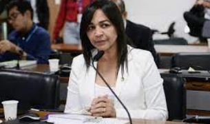 Eliziane Gama reclama por clareza da CPI que investigará atuação das ONGs