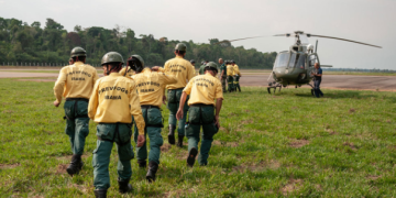 Ibama abre seletivo simplificado com remuneração de até R$ 5.208