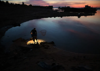 Artigo – O grande lago escuro, por José Eduardo Agualusa