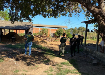 PF deflagra operação na Terra Indígena Araribóia