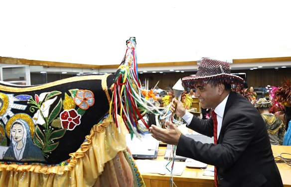 Assembleia Legislativa homenageia os 30 anos do Boi da Lua em sessão solene