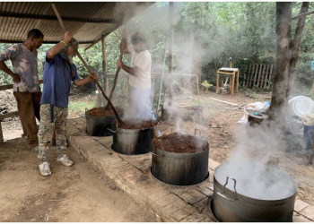 Marcelo Leite – Veja como se faz o daime, ou ayahuasca