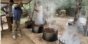 Marcelo Leite – Veja como se faz o daime, ou ayahuasca