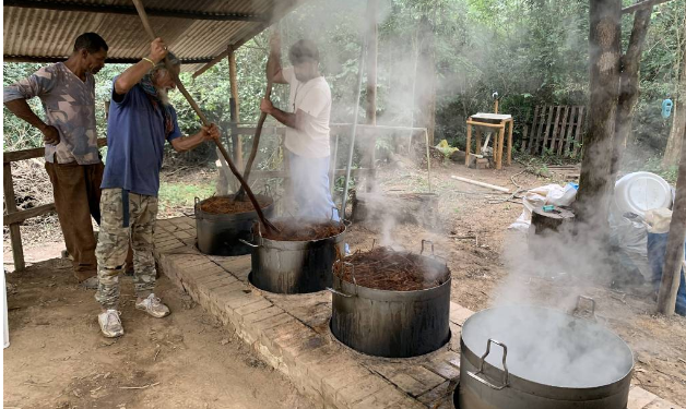 Marcelo Leite – Veja como se faz o daime, ou ayahuasca