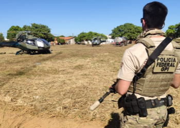 PF continua operação de repressão à exploração de madeira ilegal no Maranhão