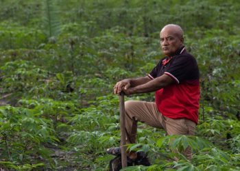 Maranhão tem segunda maior população quilombola do Brasil
