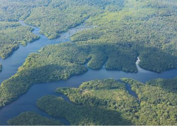 Cúpula da Amazônia terá presença de presidentes de oito países