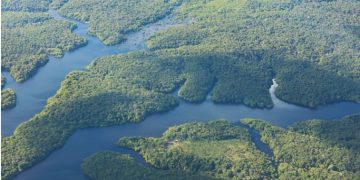 Cúpula da Amazônia terá presença de presidentes de oito países