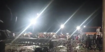 Búfalo do Marajó é alvo de violência no município de Godofredo Viana