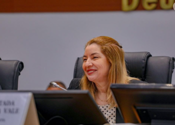 Iracema Vale propõe proibir eucalipto e grandes monoculturas para proteger Lençóis Maranhenses