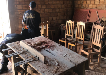 PF combate comércio irregular de madeira no Maranhão