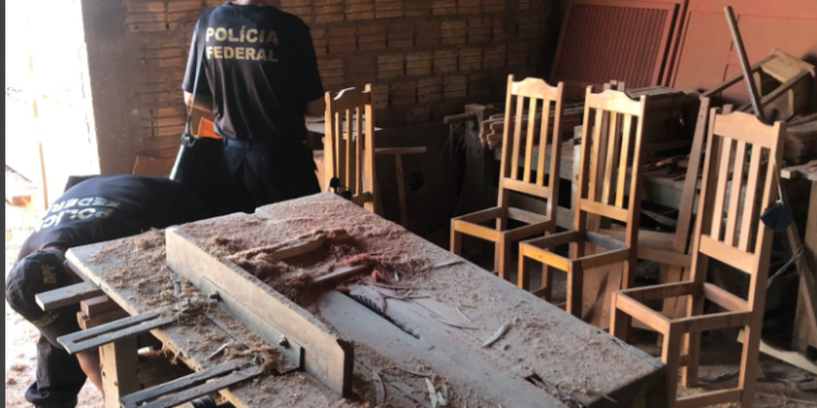 PF combate comércio irregular de madeira no Maranhão