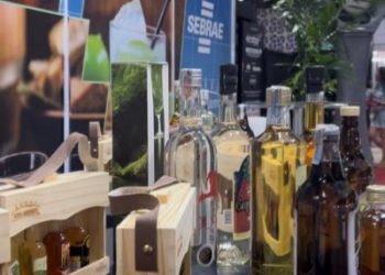 Dia da Cachaça: versátil, bebida é destaque no  programa AgroNordeste do Sebrae   
