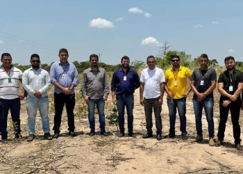 IFMA de Mangabeiras terá curso superior de Medicina Veterinária