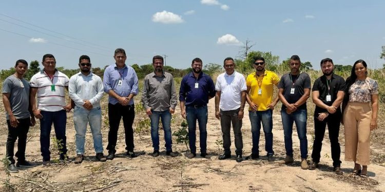 IFMA de Mangabeiras terá curso superior de Medicina Veterinária