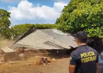 PF segue com operação para conter comércio ilegal de madeira em terra indígena Araribóia