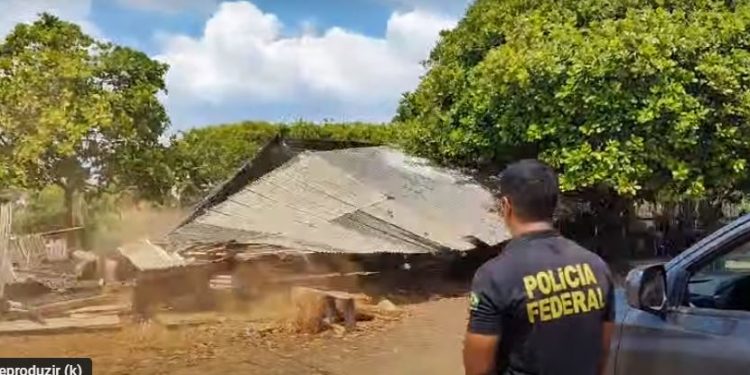 PF segue com operação para conter comércio ilegal de madeira em terra indígena Araribóia