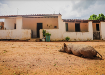 Brasil apresenta áreas de deserto pela primeira vez, de acordo com estudo