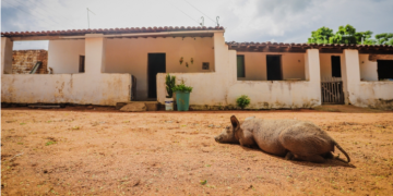 Brasil apresenta áreas de deserto pela primeira vez, de acordo com estudo
