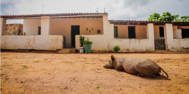 Brasil apresenta áreas de deserto pela primeira vez, de acordo com estudo