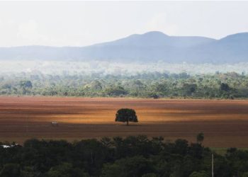Matopiba responde por 75% do desmatamento do cerrado segundo Sistema Prodes