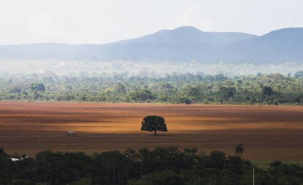 Matopiba responde por 75% do desmatamento do cerrado segundo Sistema Prodes
