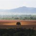 Matopiba responde por 75% do desmatamento do cerrado segundo Sistema Prodes