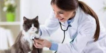 “Cuidar de todos saúde animal” tem quarta edição no Turu em São Luís