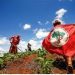 MST reúne militância para discutir efeitos de lei estadual que ameaça direito à terra