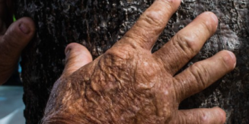 Profetas da Chuva se reúnem neste sábado em Quixadá, no estado do Ceará