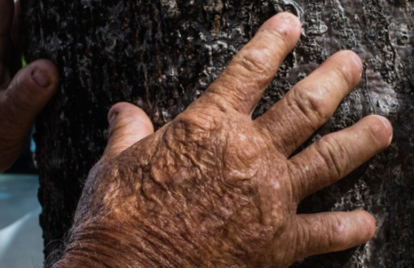 Profetas da Chuva se reúnem neste sábado em Quixadá, no estado do Ceará