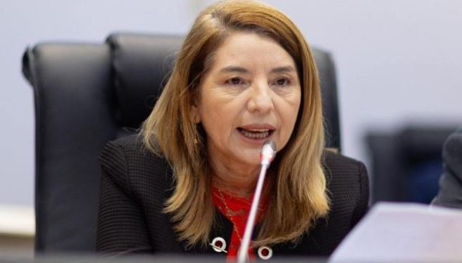 Iracema Vale anuncia criação de Comissão Especial para acompanhar caso de navio encalhado em São Luís