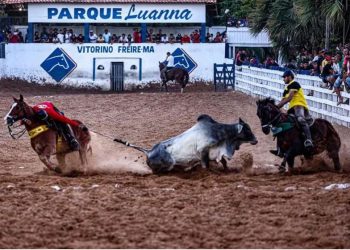Políticos e empreiteiras: como o Estado mais pobre do País virou polo do mercado de cavalos de raça