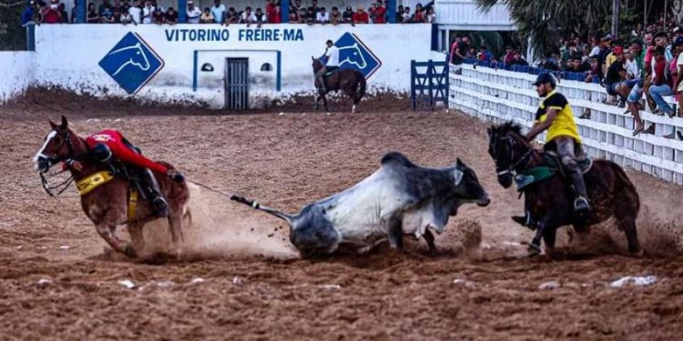 Políticos e empreiteiras: como o Estado mais pobre do País virou polo do mercado de cavalos de raça