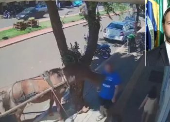 Vereador é mordido por burro quando transtava em frente à sua residência