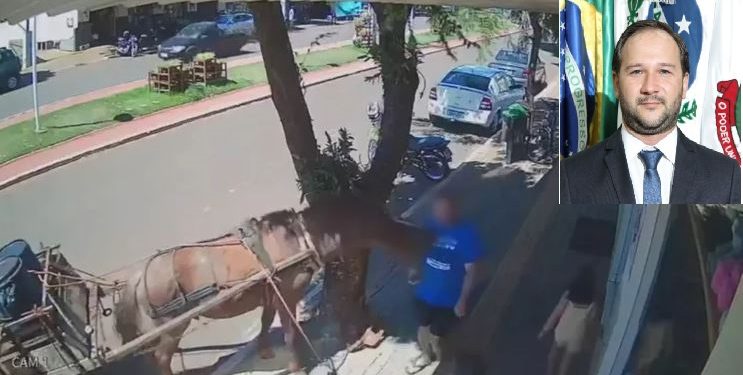 Vereador é mordido por burro quando transtava em frente à sua residência